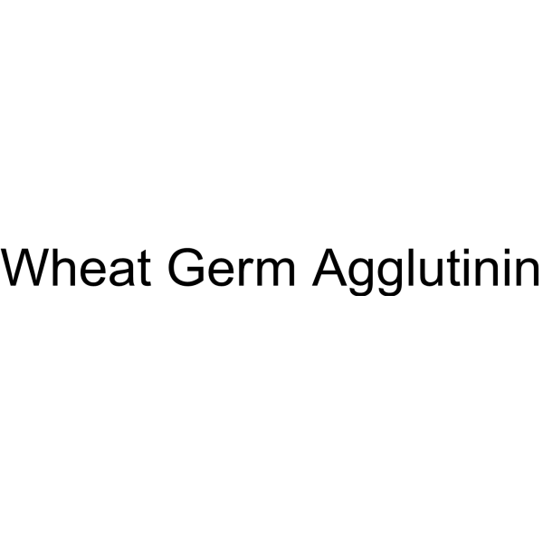 Wheat Germ Agglutinin